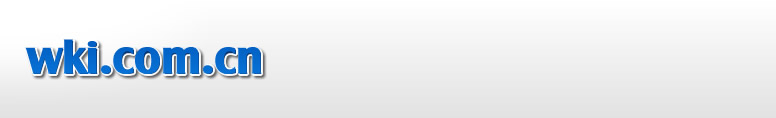 WKI.COM.CN